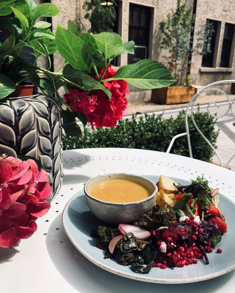 Pet Friendly Getaways in Wexford Visit Wexford