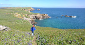 Saltee Islands