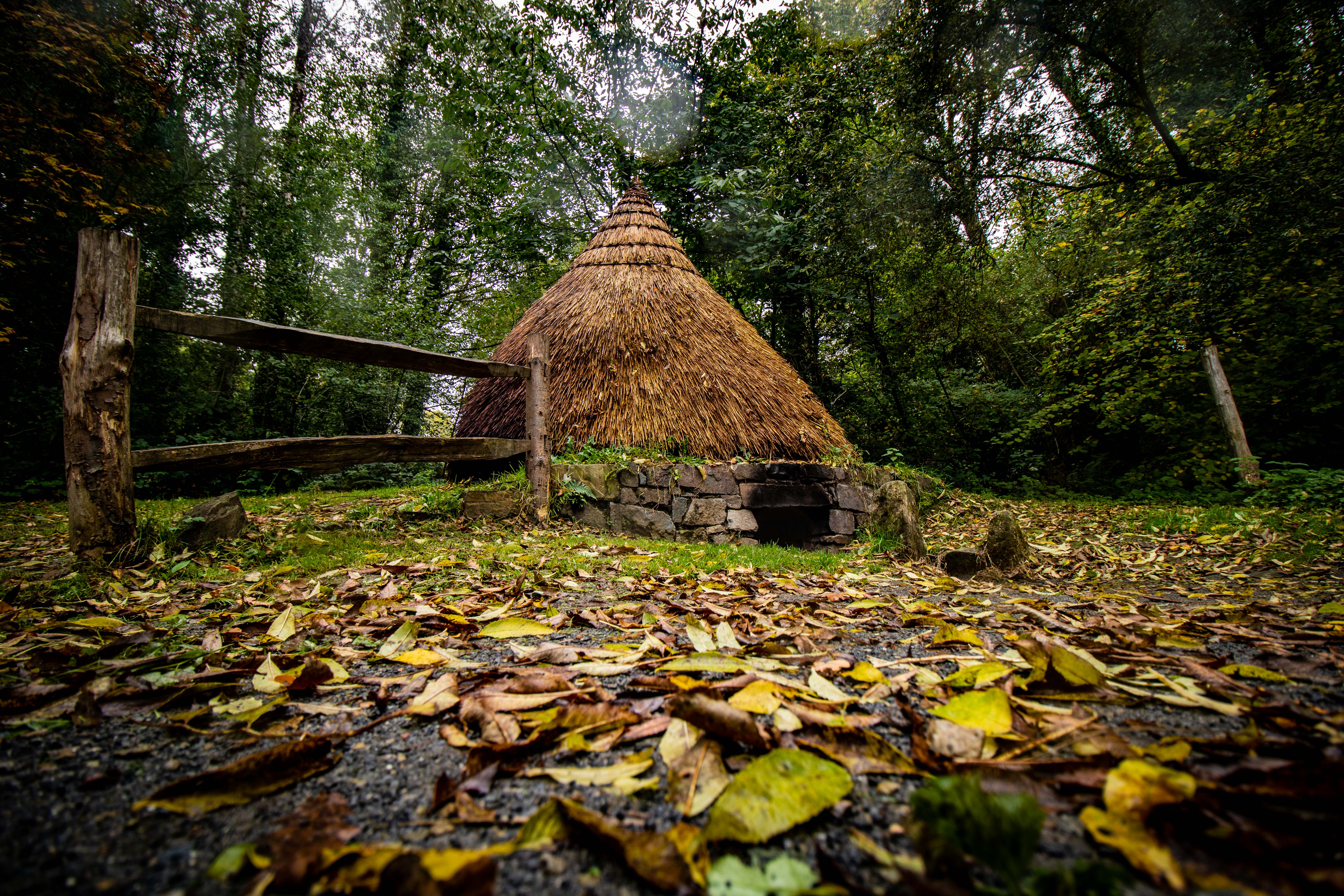 Wexford Things to Do | Places to Visit in Wexford | Visit Wexford