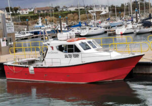 Saltee Ferry