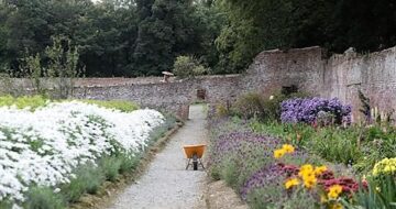 Colclough Walled Garden