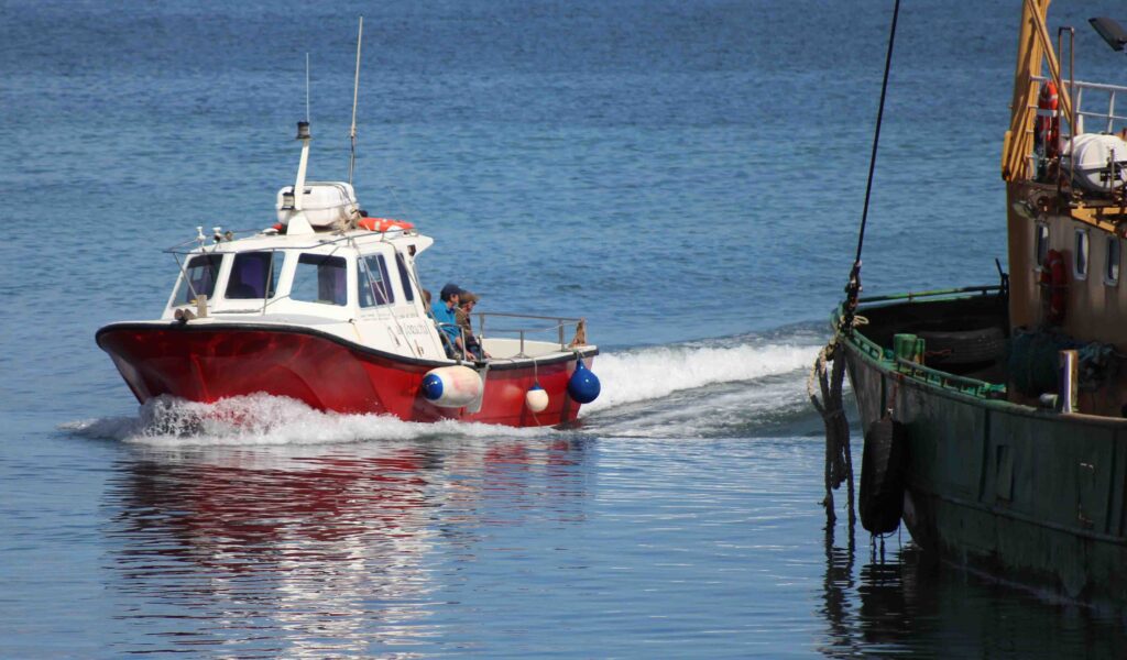 Saltee Ferry approaching harbour