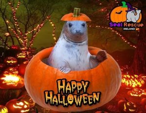 seal rescue halloween