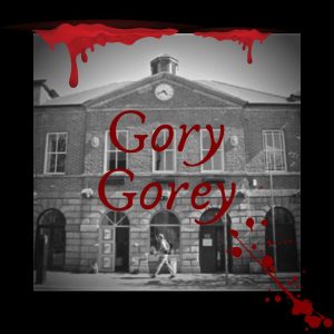 gory gorey gallivanting.ie tours