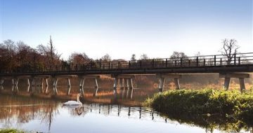 enniscorthy_riverside_walk