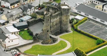 ferns-castle