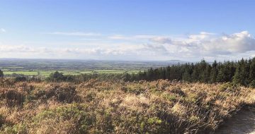 forth_mountain_wexford_trail