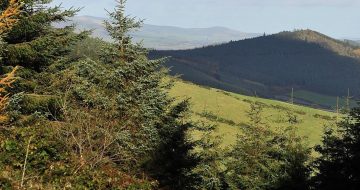 A view from the Askamore Trail in Wexford.