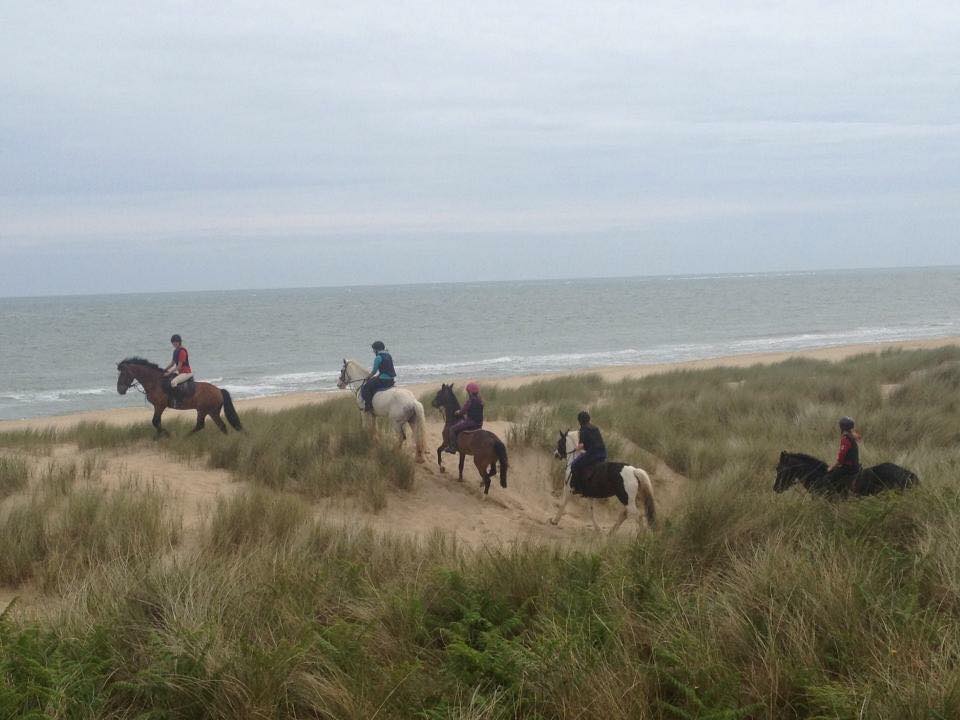 Outdoor Activities Wexford - Shrule Equestrian Centre for Horse Riding on the Beach Ireland 