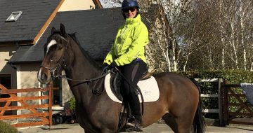 Anvil Lodge Riding School