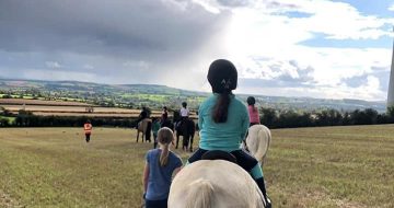 Horse Riding Lessons Wexford at Anvil Lodge