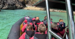 Saltee Sea Safaris