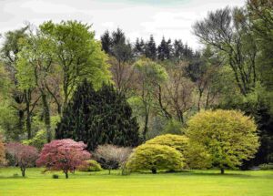 JFK Arboretum