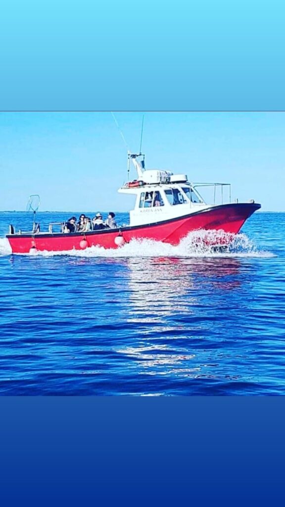 fishing trips wexford