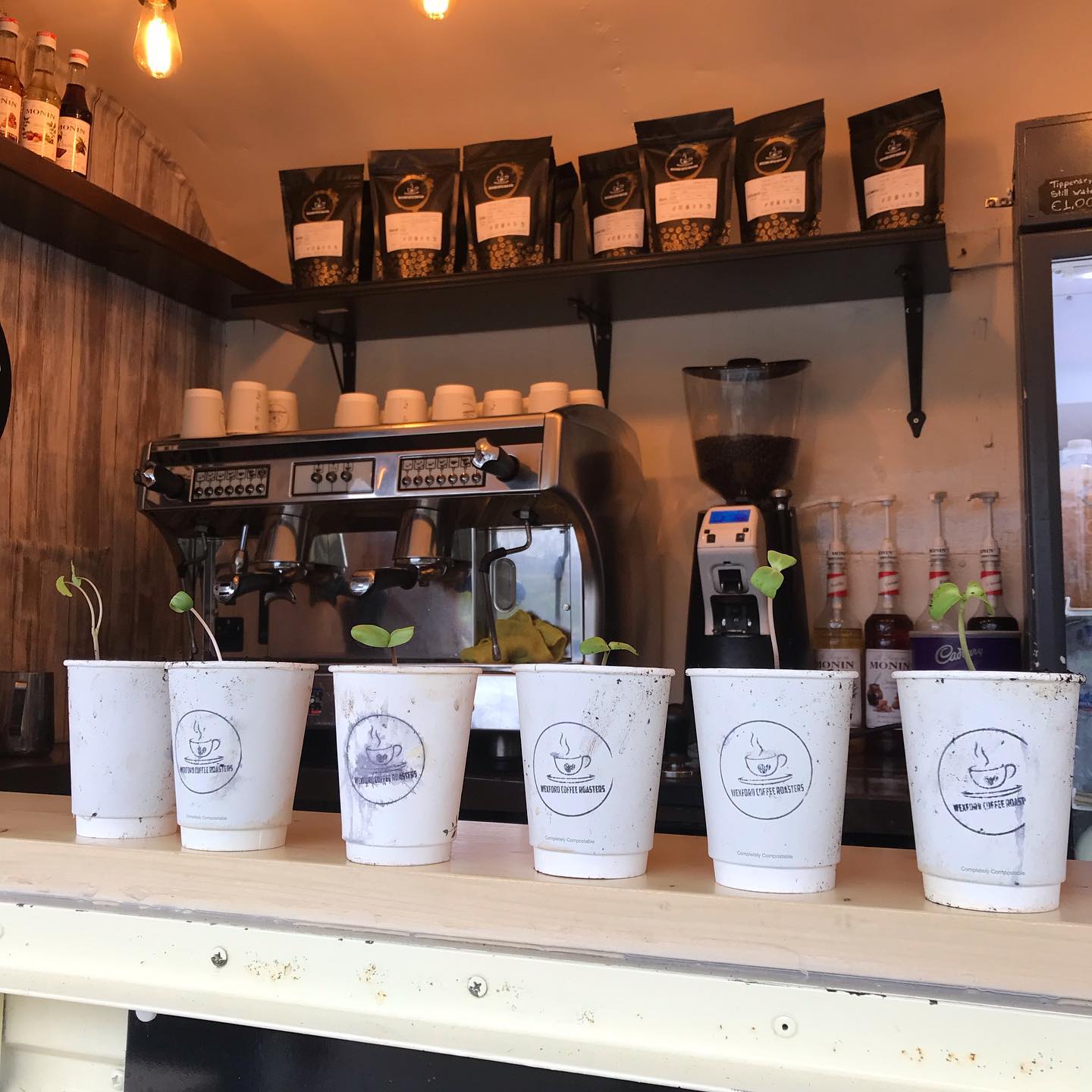 Wexford Coffee Roasters