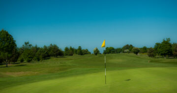 wexford golf club Graham Robinson