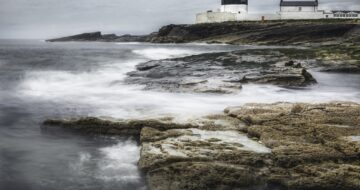 Things to do on a Rainy Day in Wexford