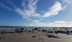 Carne beach