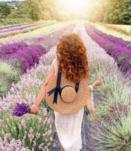 Visit Wexford - Wexford Lavender Farm - Unique Experiences in Wexford