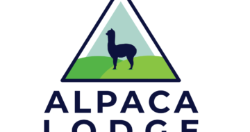 alpaca lodge visit wexford