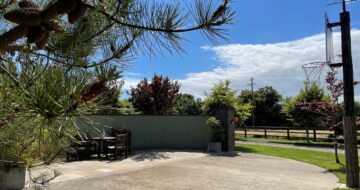 Play Areas at Woodvilla Lodge - basketball hoop