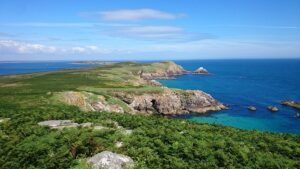 Saltee Islands Wexford