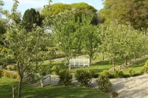 Colclough Walled Garden