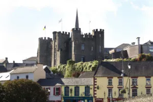 Enniscorthy castle 